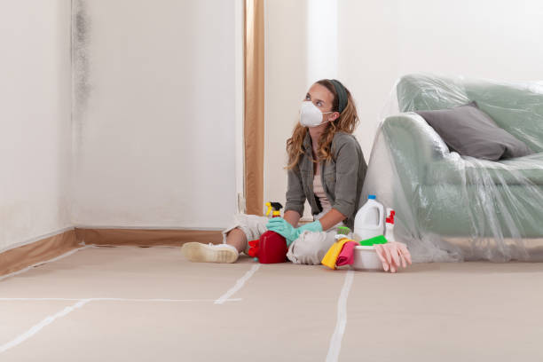 Reliable Bathroom Mold Removal contractor in Sewaren, NJ by WQB Mold Removal